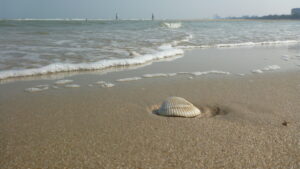 Cha-am and the north of Hua Hin